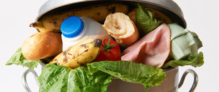 How to Manage Food Waste in School Dining Programs for a More Sustainable Future