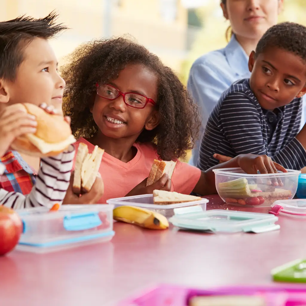 What is the National School Lunch Program